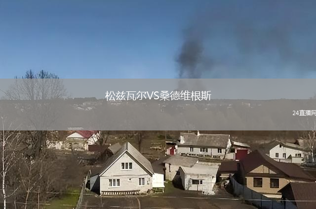 松茲瓦爾VS桑德維根斯
