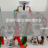 亞琛VS霍芬海姆青年隊