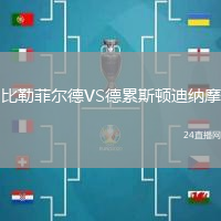 比勒菲爾德VS德累斯頓迪納摩