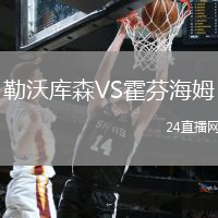 勒沃庫森VS霍芬海姆
