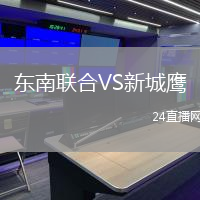 東南聯(lián)合VS新城鷹