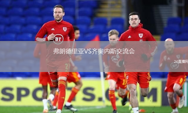 弗朗德里亞VS齊奧內(nèi)斯交流會