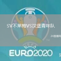 SV不萊梅VS漢堡青年隊