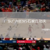 廣東廣州豹VS石家莊功夫