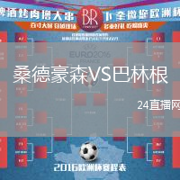 桑德豪森VS巴林根