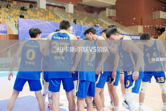 紐卡斯?fàn)柭?lián)VS狼隊(duì)
