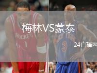 梅林VS蒙泰