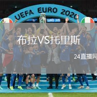 布拉VS托里斯