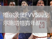 維爾茨堡FVVS因戈?duì)柺┧厍嗄觋?duì)