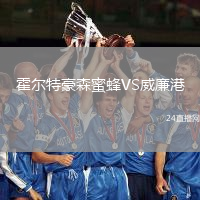 霍爾特豪森蜜蜂VS威廉港